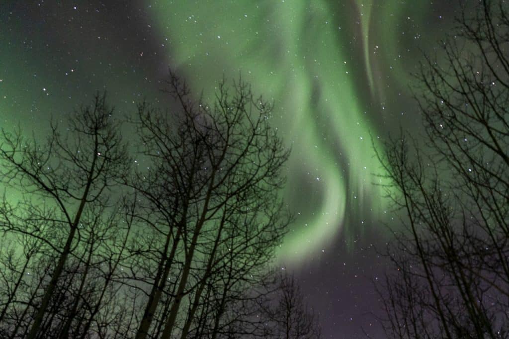 Aurores-Boréales-Foret-Yukon